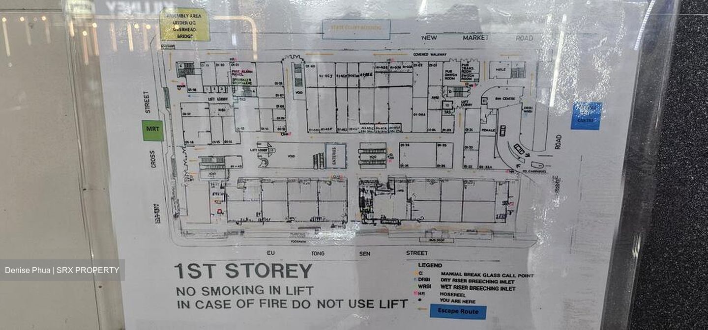 CHINATOWN MRT STATION (DT19) (D1), Shop House #495954731